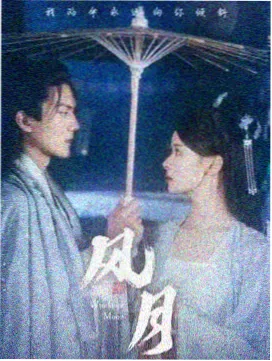 沉默证人剧集海报